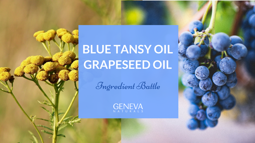 Ingredient Battle: Blue Tansy Oil v. Grapeseed Oil  Geneva Naturals