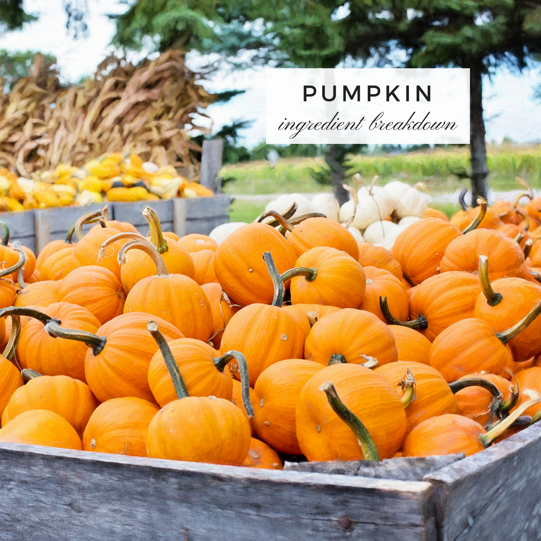 ingredient breakdown pumpkin