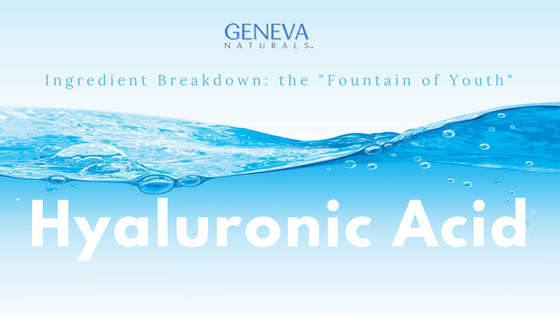 hyaluronic acid ingredient breakdown