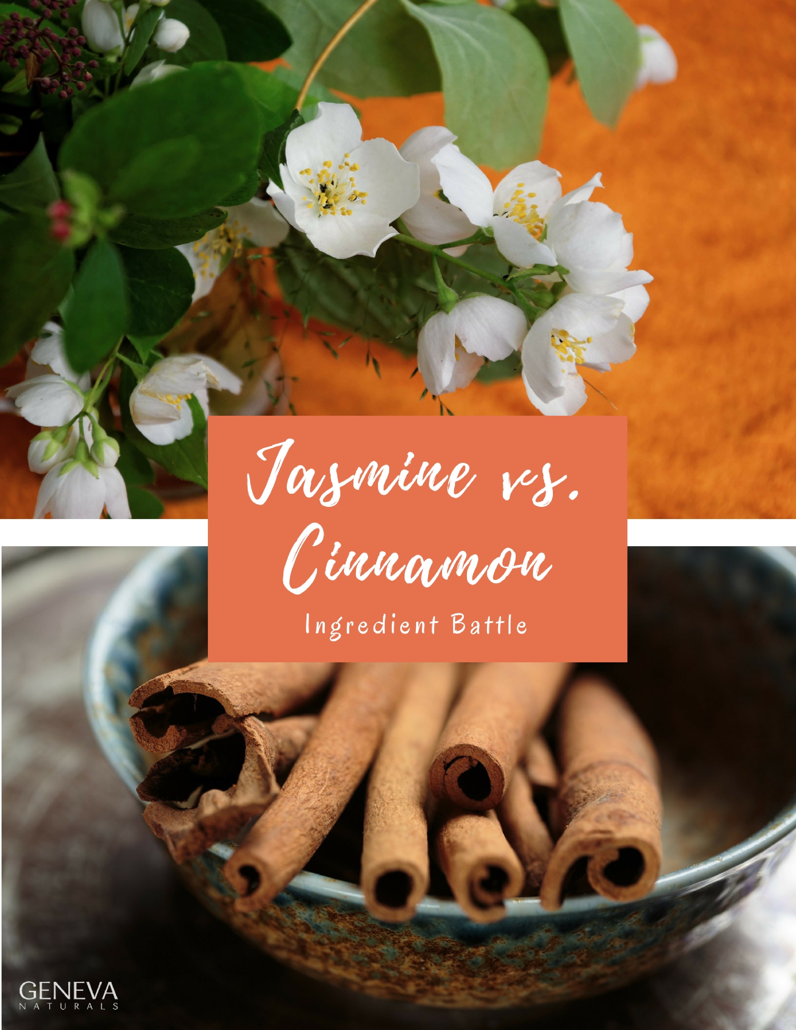 jasmine vs cinnamon ingredient battle