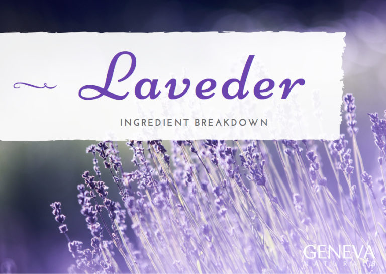 Ingredient Breakdown: Lavender