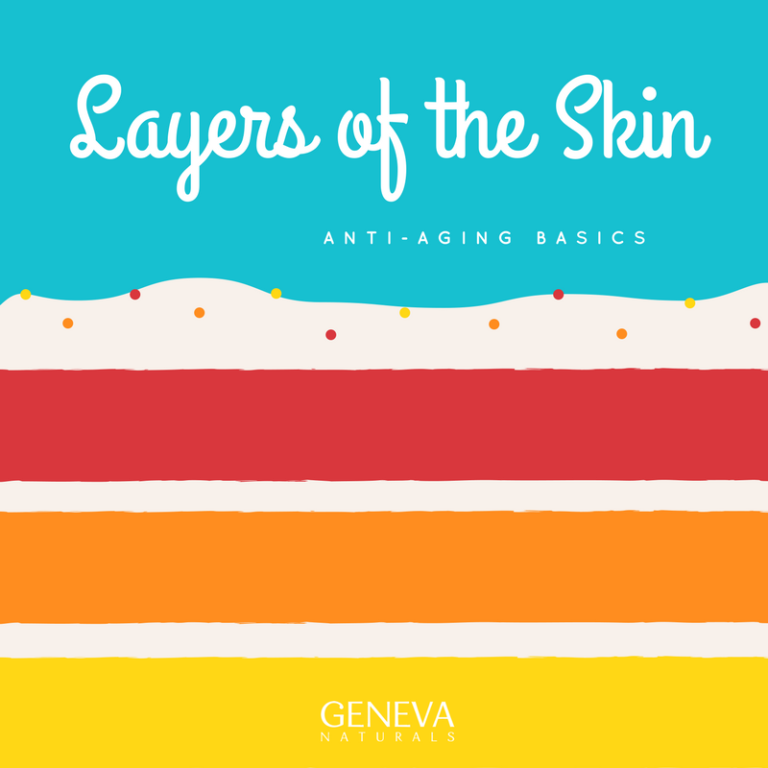 Layers of the Skin