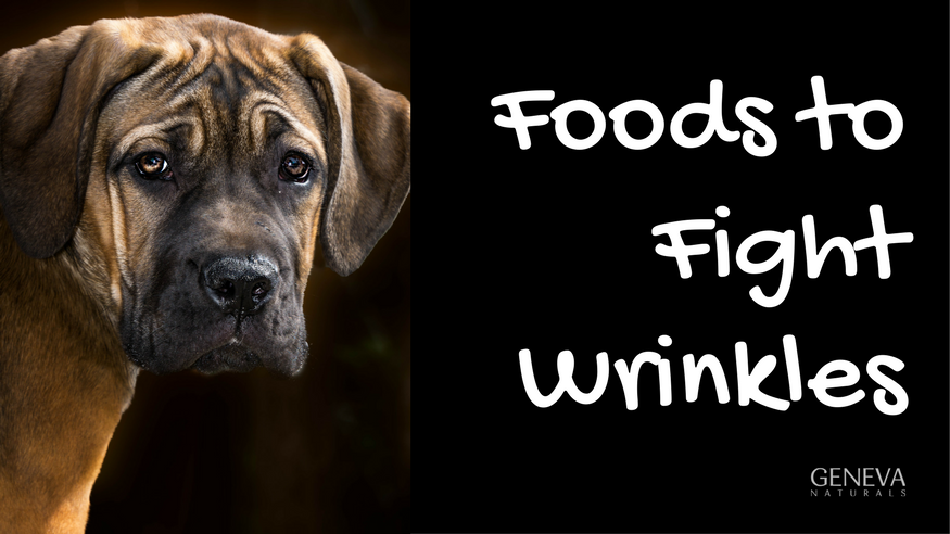 foods that fight wrinkles